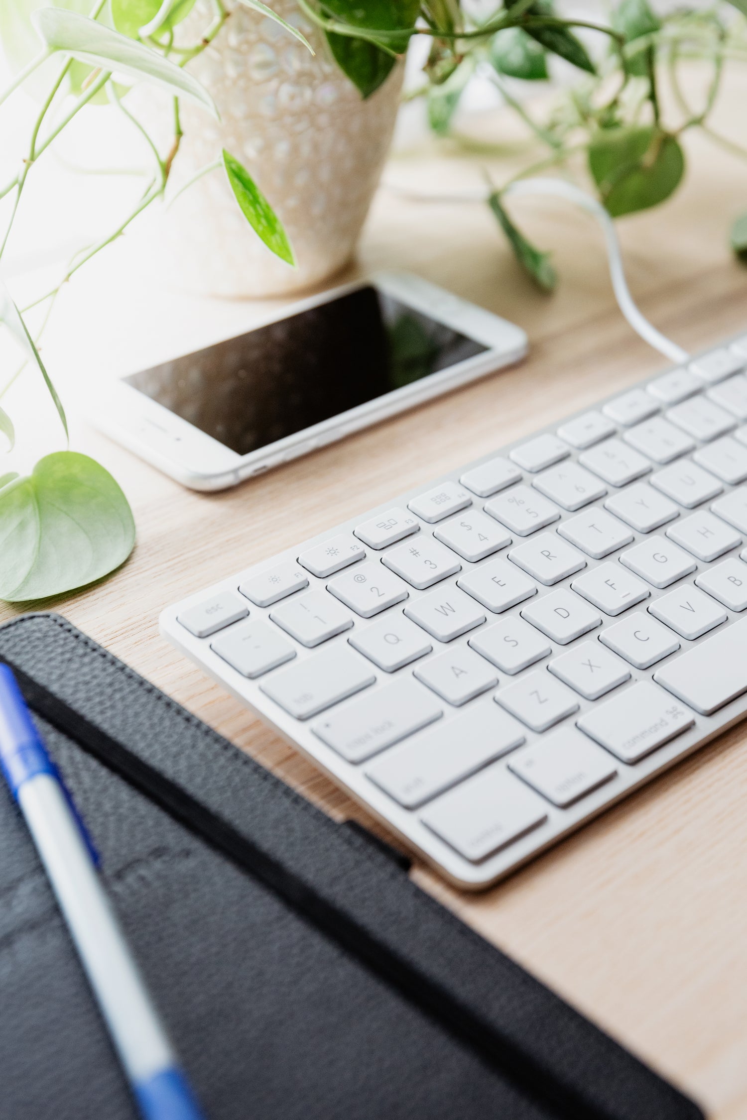 Real Estate Agent Supplies